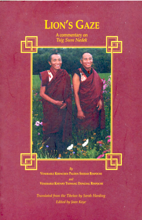 (image for) The Lion's Gaze by Palden Rinpoche